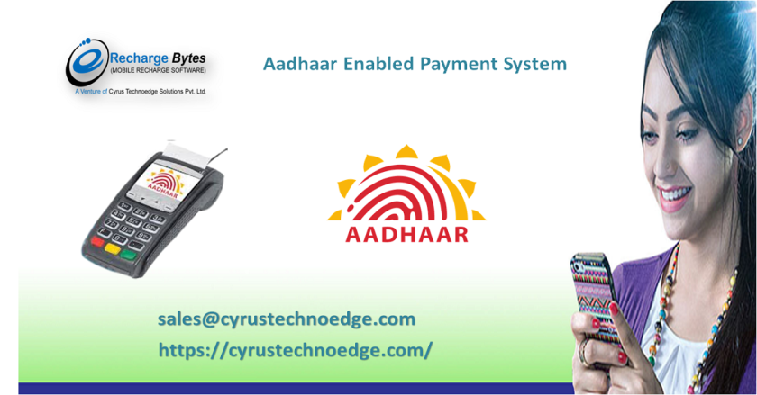 World Class Aadhaar Enabled Payment System for Mini banking